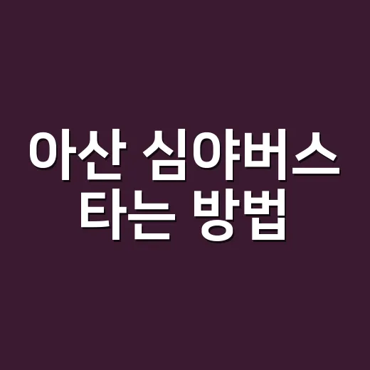 아산 심야버스 타는 방법, 막차 끊긴 뒤 이동하려면 이렇게 보세요 - 요약