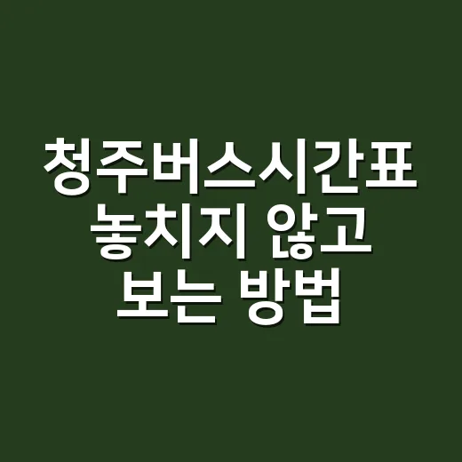 청주버스시간표 놓치지 않고 보는 방법, 고속·시외 노선부터 대안 경로까지 - 요약