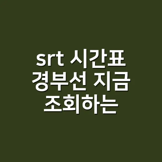 srt 시간표 경부선 지금 조회하는 방법 - 요약