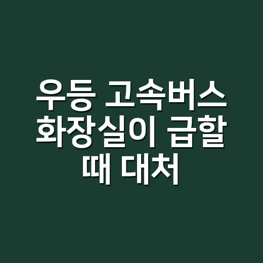 우등 고속버스 화장실이 급할 때 대처하는 방법 - 요약