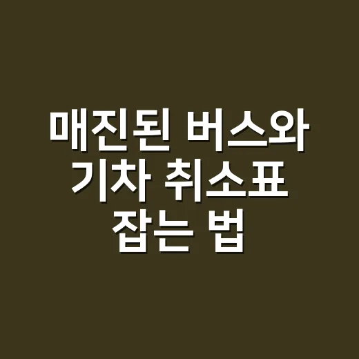 매진된 버스와 기차 취소표 잡는 법 - 요약