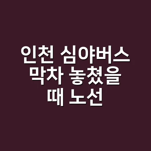인천 심야버스 막차 놓쳤을 때 노선 찾는 방법 - 요약