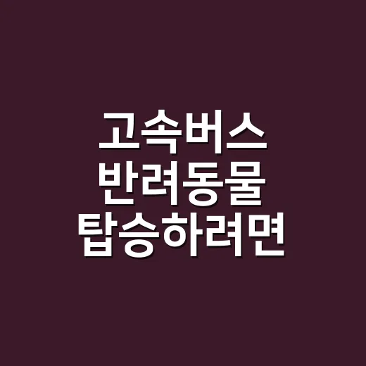 고속버스 반려동물 탑승하려면 이렇게 준비하세요 - 요약