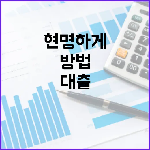 대출을 현명하게 이용하는 방법 - 요약