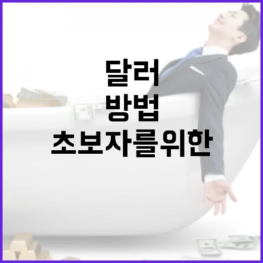 달러 환전하는 방법: 초보자를 위한 가이드 - 요약