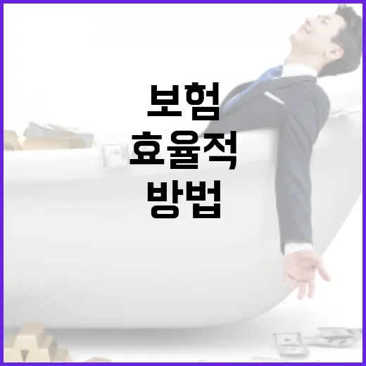 효율적으로 보험을 선택하는 방법 - 요약