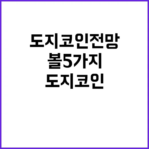 도지코인전망을 판단할 때 먼저 볼 5가지 숫자 - 요약