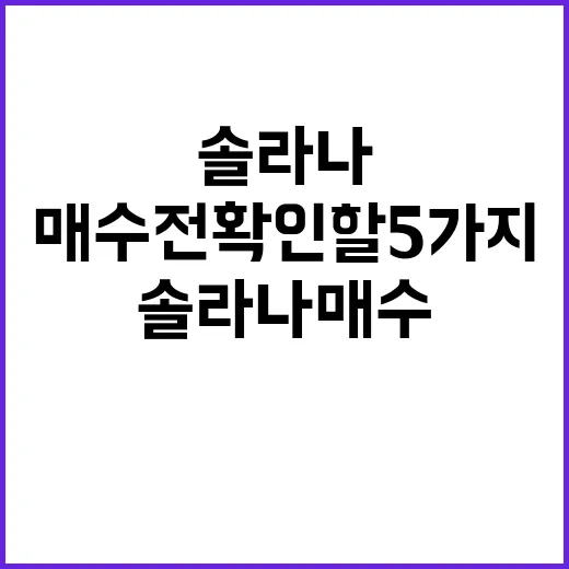 솔라나 매수 전 확인할 5가지 온체인 지표 - 요약
