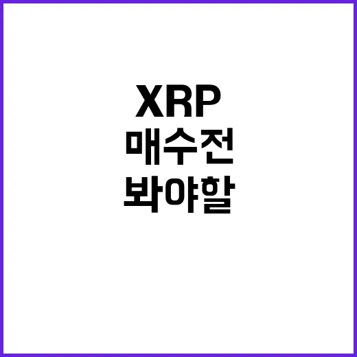 XRP 매수 전 확인할 5가지 숫자: 가격보다 먼저 봐야 할 데이터 - 요약