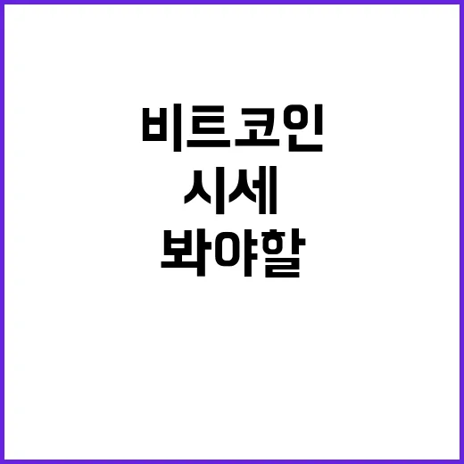 비트코인하는법 5단계: 시세보다 먼저 봐야 할 거래량·수급·리스크 - 요약