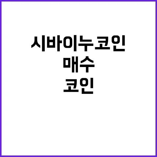시바이누코인 매수 전 확인할 5가지 숫자 - 요약