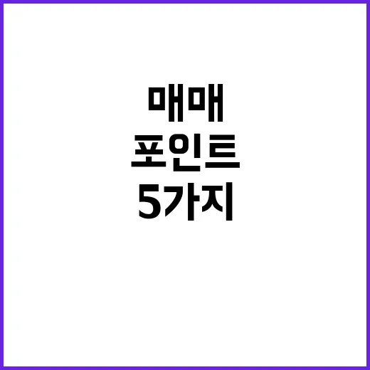XRP 매매 전 확인할 5가지 데이터 포인트 - 요약