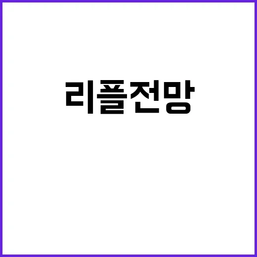리플전망을 볼 때 먼저 확인할 5가지 숫자 - 요약