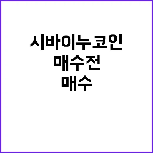 시바이누코인 매수 전 확인할 5가지 숫자 - 요약