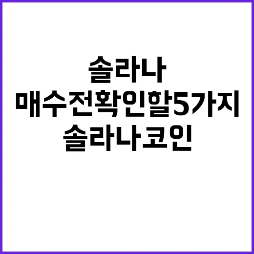솔라나코인 매수 전 확인할 5가지 숫자 - 요약