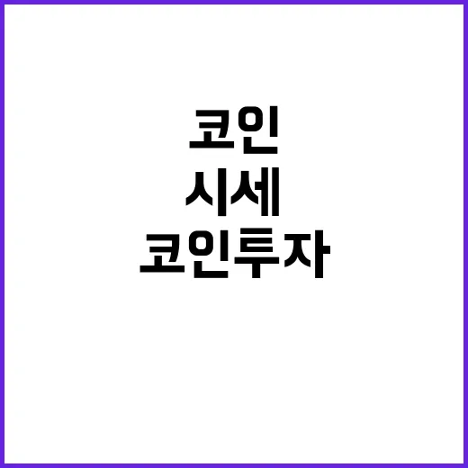 코인투자방법 5단계: 시세보다 먼저 확인할 데이터 기준 - 요약
