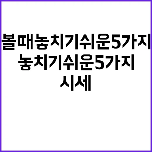 코인시세 볼 때 놓치기 쉬운 5가지 숫자 - 요약
