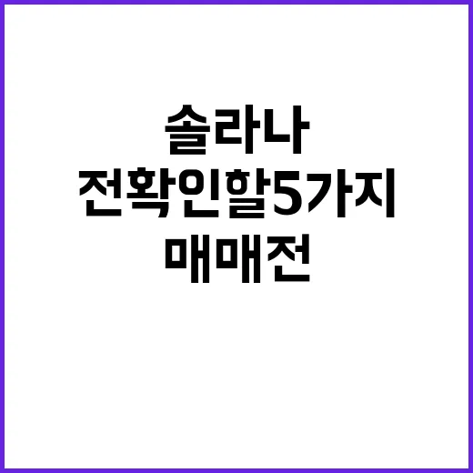 솔라나 매매 전 확인할 5가지 숫자 - 요약