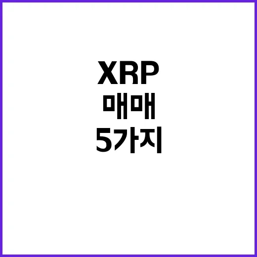 XRP 매매 전에 확인할 5가지 숫자와 리스크 - 요약