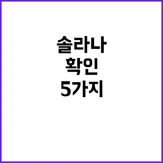 솔라나를 볼 때 먼저 확인하는 5가지 숫자 - 요약