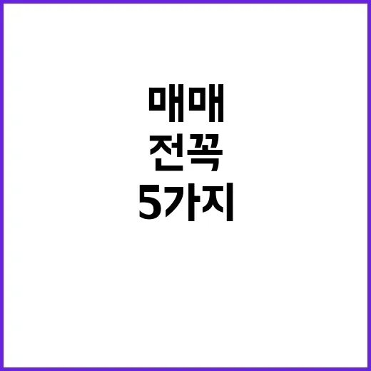 리플 매매 전 꼭 보는 5가지 숫자 - 요약