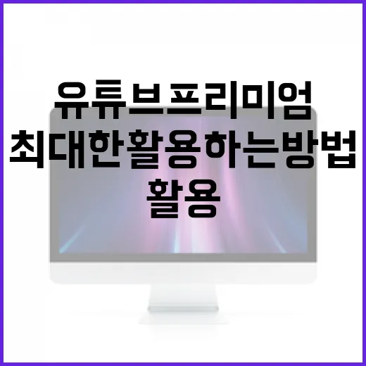 유튜브 프리미엄을 최대한 활용하는 방법 - 요약