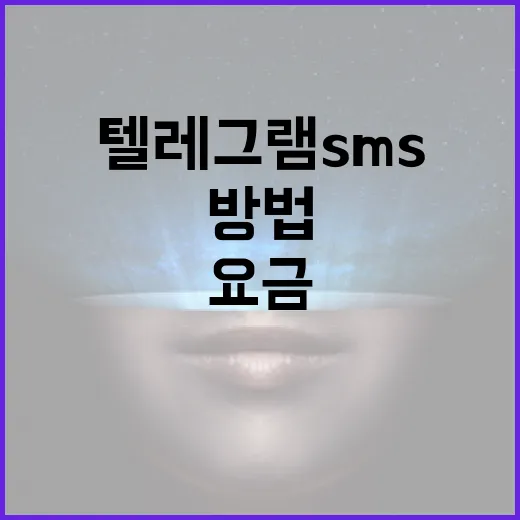 텔레그램 SMS 요금을 절약하는 방법 - 요약
