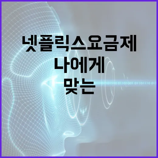 나에게 맞는 넷플릭스 요금제를 선택하는 방법 - 요약