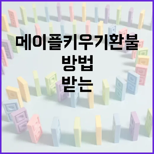 메이플키우기 환불 받는 방법 - 요약