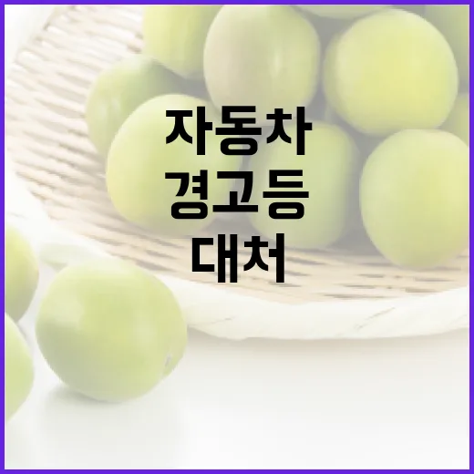 자동차 경고등을 이해하고 대처하는 방법 - 요약