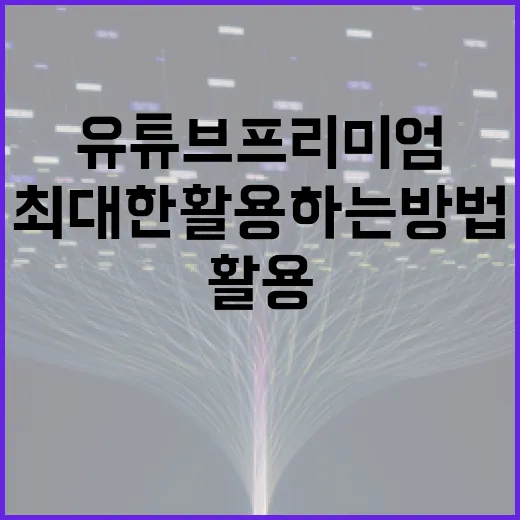 유튜브 프리미엄을 최대한 활용하는 방법 - 요약