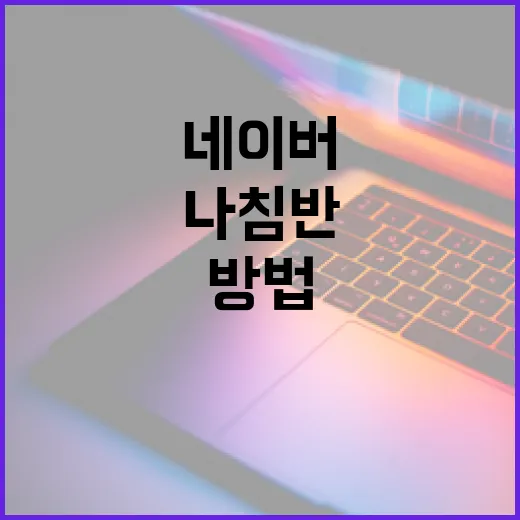 네이버 나침반을 활용하여 스마트하게 탐색하는 방법 - 요약