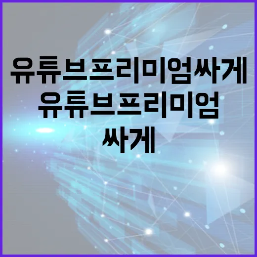 유튜브 프리미엄 싸게 쓰려면 이렇게 확인하세요 - 요약