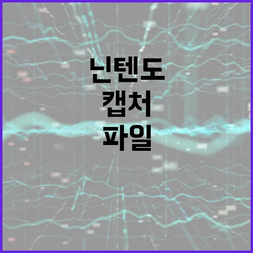 닌텐도 캡처 화면과 저장 파일을 PC로 옮기는 방법, 처음이면 이렇게 하면 됩니다 - 요약