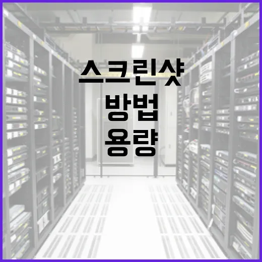리니지 설치 파일과 스크린샷 관리하는 방법, 폴더부터 용량까지 깔끔하게 - 요약