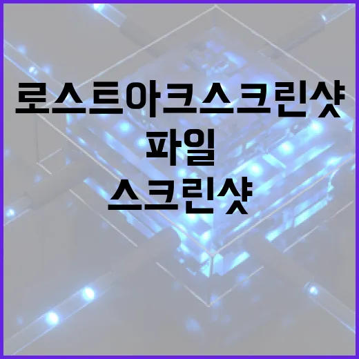 로스트아크 스크린샷과 설치 파일 깔끔하게 관리하는 방법 - 요약