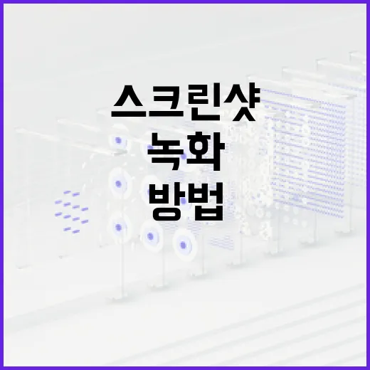 던파 스크린샷과 녹화 파일 용량 줄이는 방법 - 요약