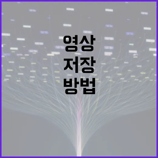 YOUTUBE 영상 저장·자막·음원 파일 다루는 방법, 무료 도구로 막힘 줄이기 - 요약