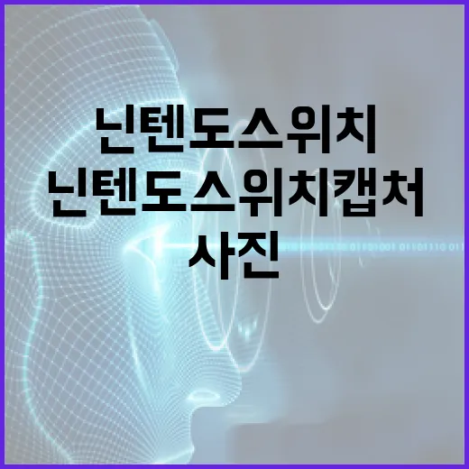 닌텐도스위치 캡처 사진·영상 PC로 옮기고 용량 줄이는 방법 - 요약