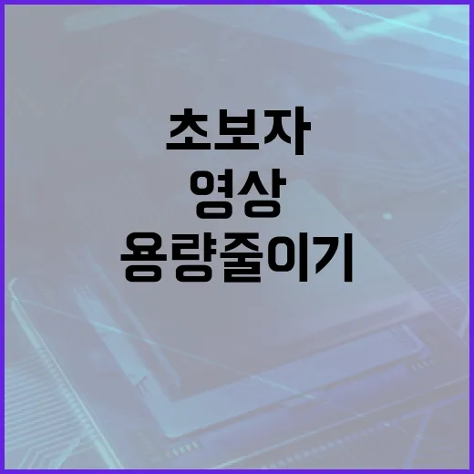 틱톡 영상 저장·용량 줄이기 초보자를 위한 파일 관리 방법 - 요약