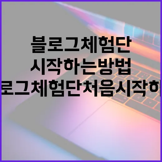블로그체험단 처음 시작하는 방법, 신청 전 준비부터 후기 작성까지 - 요약