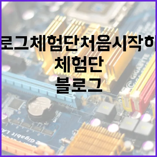 블로그체험단 처음 시작하는 방법, 신청부터 후기 작성까지 이렇게 하면 덜 헤맵니다 - 요약