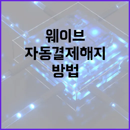 웨이브 자동결제 해지하는 방법, 결제 경로별로 헷갈리지 않게 처리하려면 이렇게 - 요약
