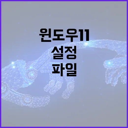 윈도우11 처음 쓰는 사람을 위한 파일 관리와 기본 설정 방법 - 요약