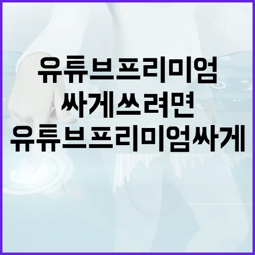 유튜브프리미엄싸게 쓰려면 이렇게 확인하는 방법 - 요약