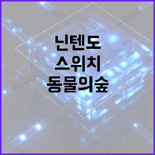 닌텐도스위치동물의숲 사진과 영상 옮기는 방법, 앨범 꽉 찼을 때 이렇게 - 요약