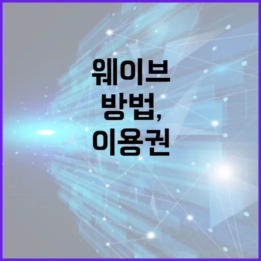 웨이브이용권 고르는 방법, 가격보다 먼저 볼 것들 - 요약