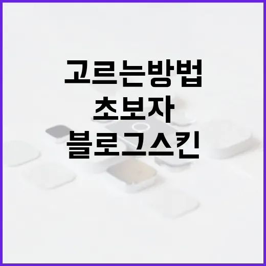 블로그스킨 고르는 방법, 초보자가 바꾸기 전에 확인할 것들 - 요약
