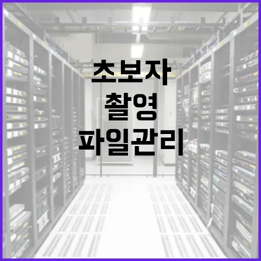 틱톡커 시작하는 방법, 촬영부터 파일 관리까지 초보자가 덜 헤매는 순서 - 요약