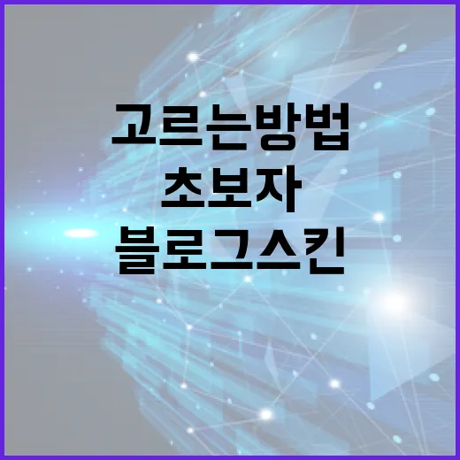 초보자를 위한 블로그스킨 고르는 방법, 무료 스킨도 충분히 깔끔하게 쓰려면 이렇게 - 요약